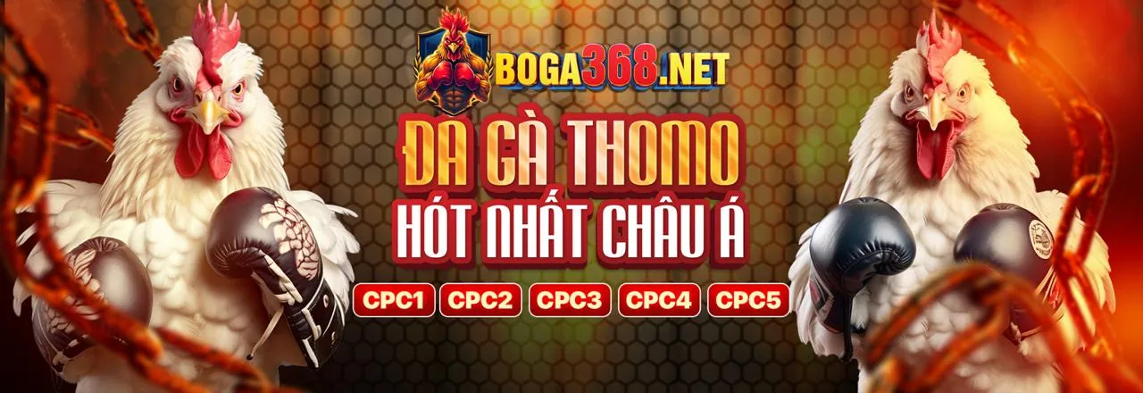 Sảnh game bài trực tuyến đỉnh cao kết hợp trực tiếp gà thomo