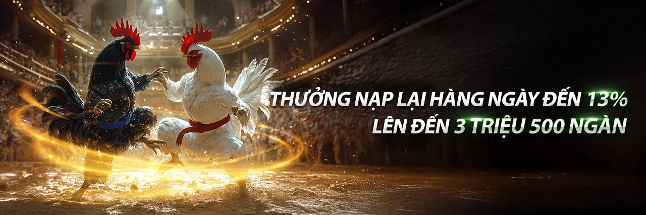 trực tiếp gà thomo tại BJ88